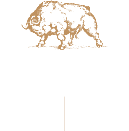 Toro de oro